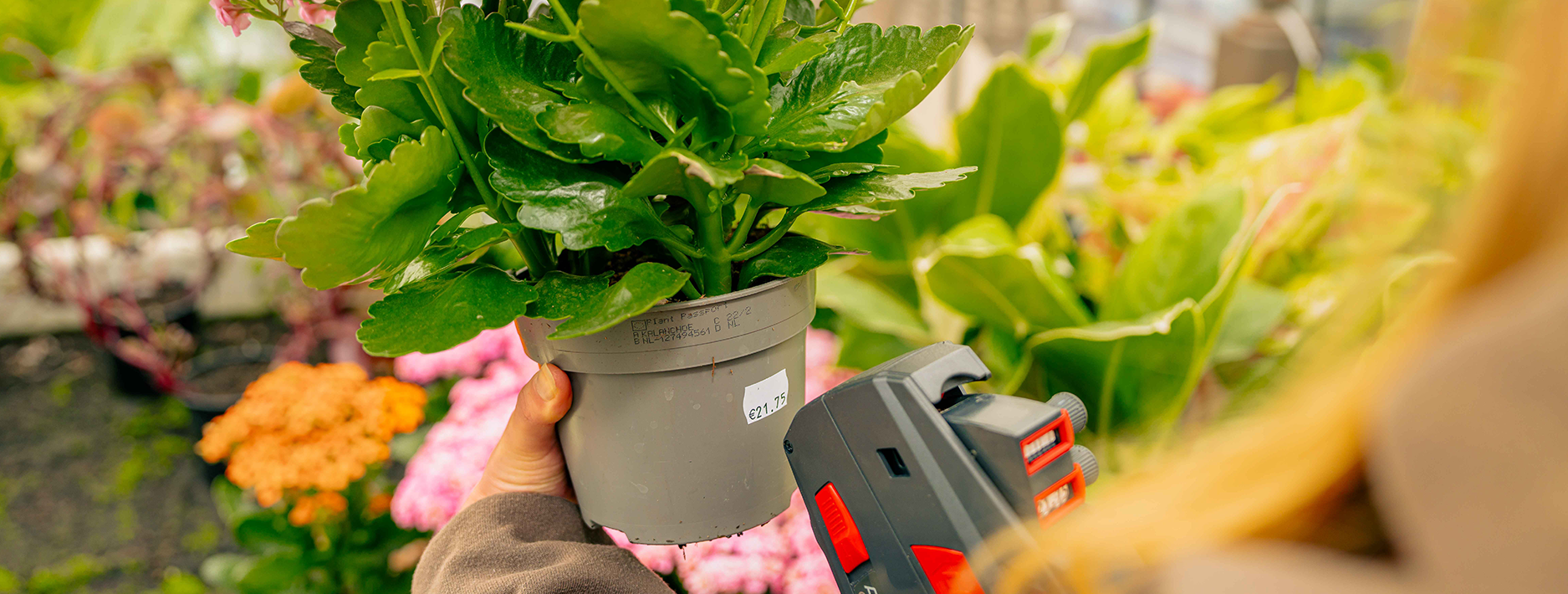 Labeling in de tuinbouw